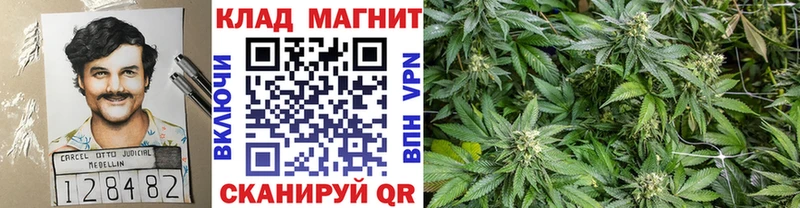 Где найти наркотики Сенгилей Альфа ПВП  МАРИХУАНА 