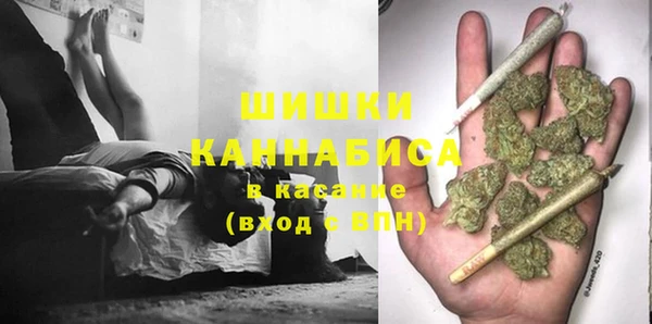 метадон Новодвинск