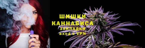 первитин Новозыбков