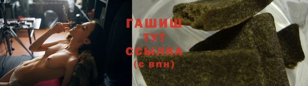 метадон Новодвинск