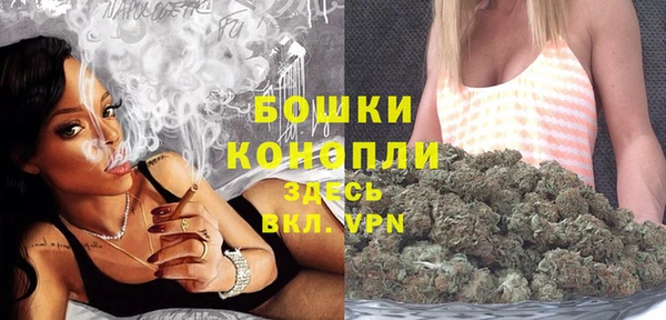 метадон Новодвинск