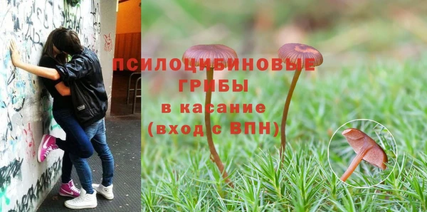первитин Новозыбков