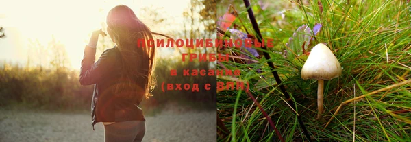 метадон Новодвинск