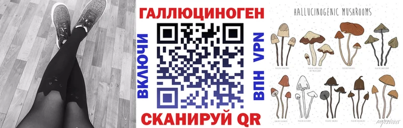 Псилоцибиновые грибы мицелий Сенгилей